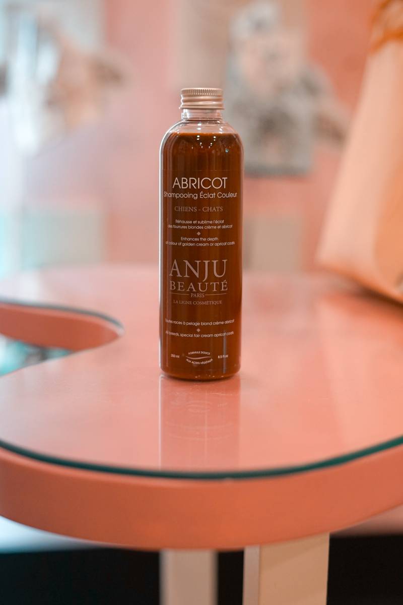 CHAMPÚ ANJÚ BEAUTÉ APRICOT
