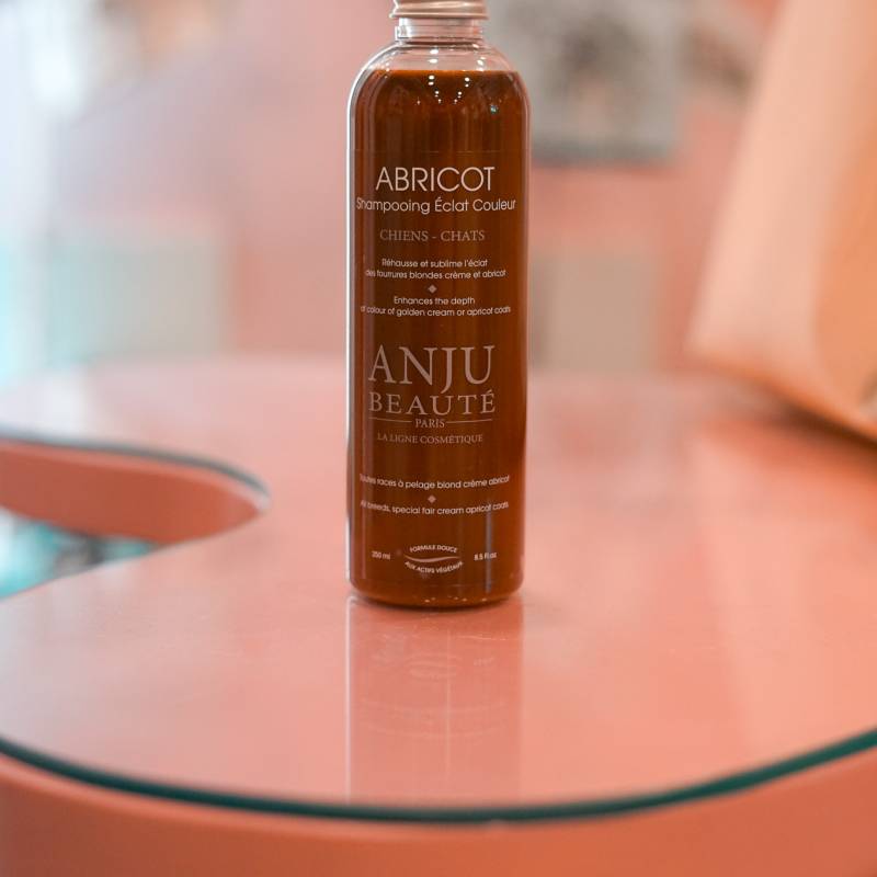 CHAMPÚ ANJÚ BEAUTÉ APRICOT