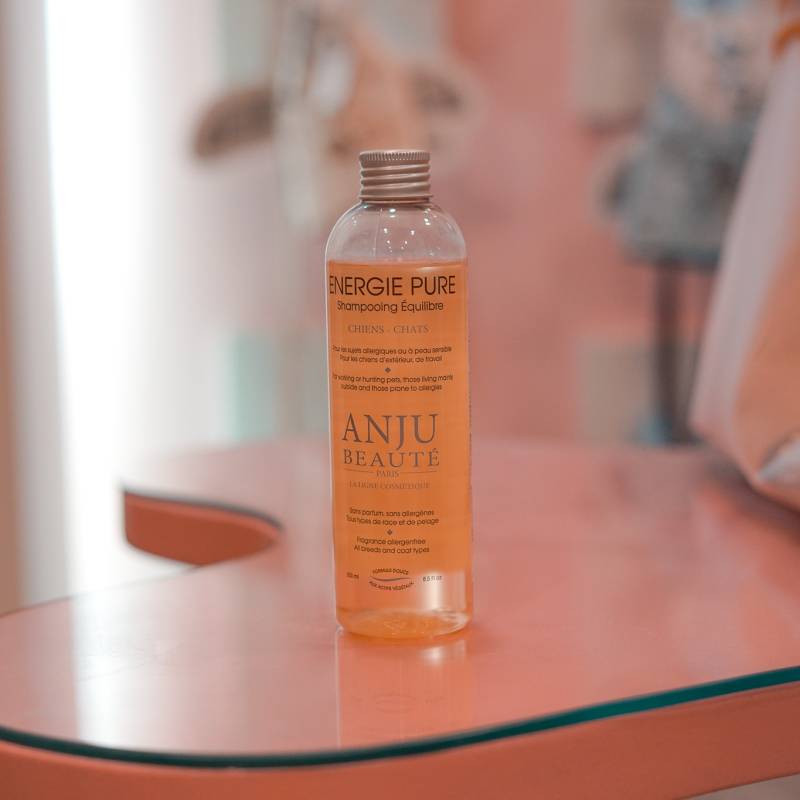 CHAMPÚ ANJÚ BEAUTÉ ENERGIE PURE