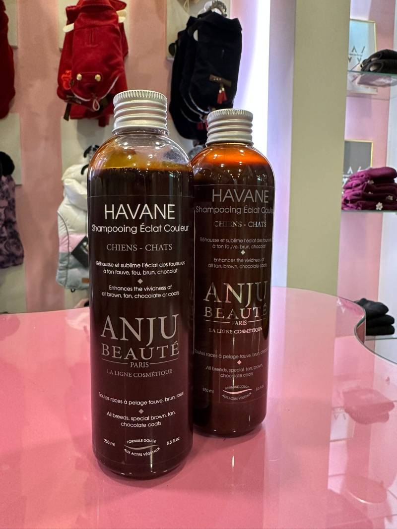 Champú Havane Anjú Beauté - Imagen 2