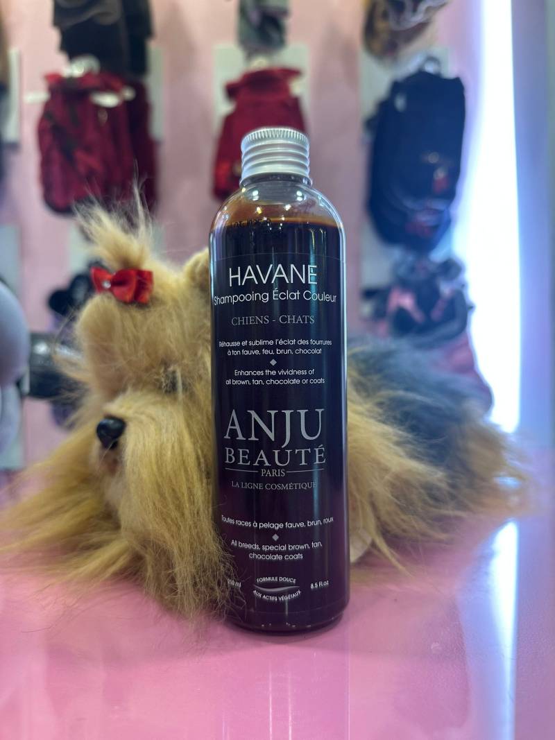 Champú Havane Anjú Beauté - Imagen 3