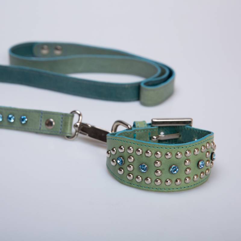 COLLAR Y CORREA VERDE ESMERALDA