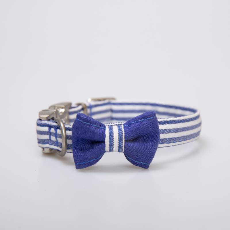 COLLAR PARA PERRO JEAN Y LAZO MARINERO