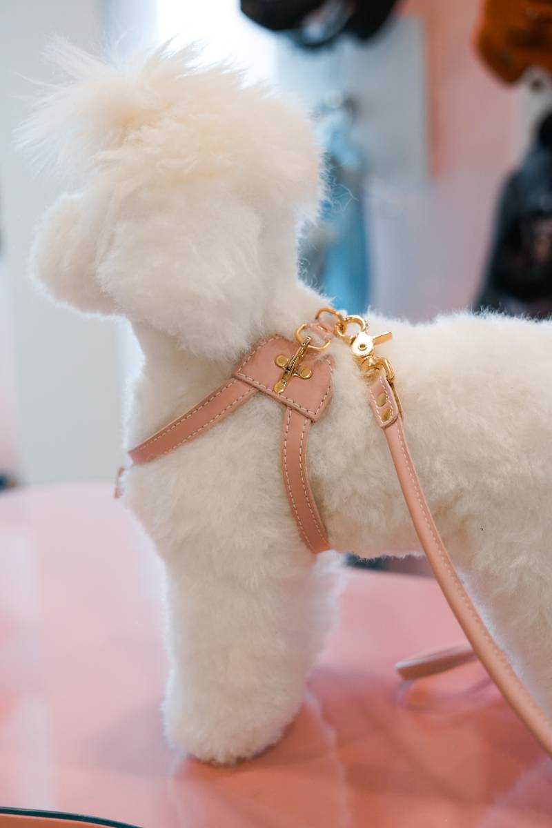 ARNES PAWSNUG BY LUXURY PETS - Imagen 15