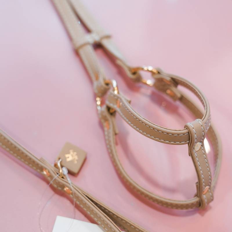 ARNES AJUSTABLE + CORREA BY LUXURY PETS
