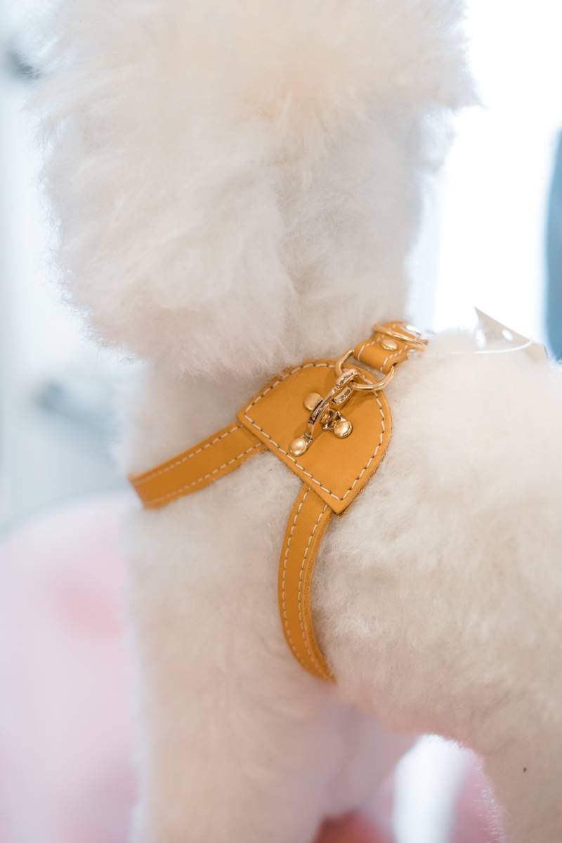 ARNES PAWSNUG BY LUXURY PETS - Imagen 12