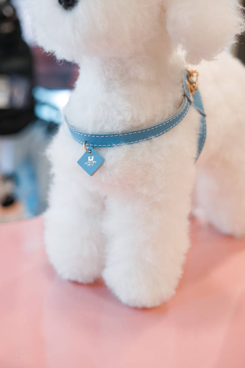 ARNES PAWSNUG BY LUXURY PETS - Imagen 11