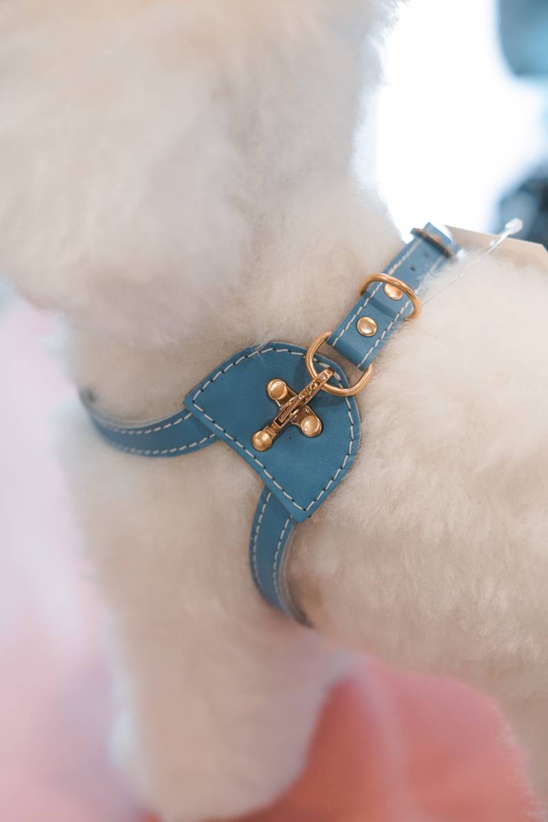 ARNES PAWSNUG BY LUXURY PETS - Imagen 9