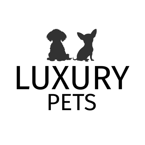 Criadores perros toy, peluquería canina y boutique