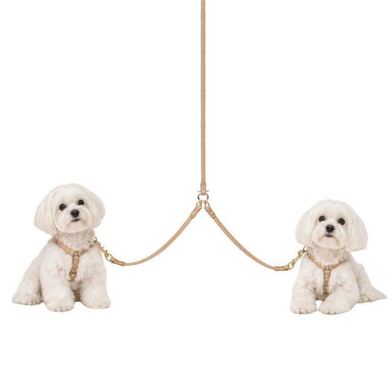 útil y preciosa doble correa para pasear dos perros en Luxury Pets, peluquería canina y boutique especializada en perros, Núñez de Balboa 35A, Madrid