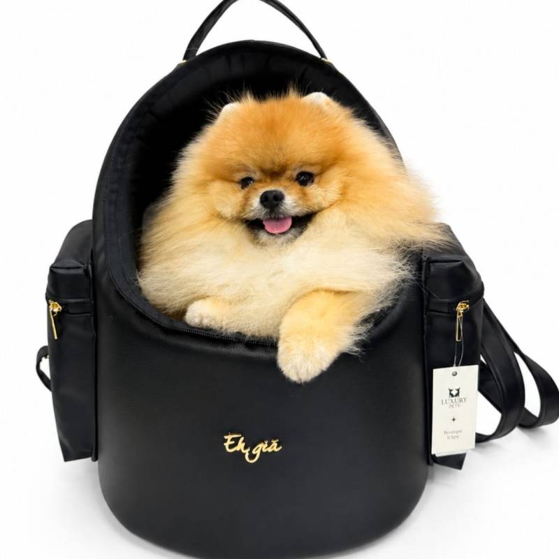 Mochila para perros Traveller Egg negra