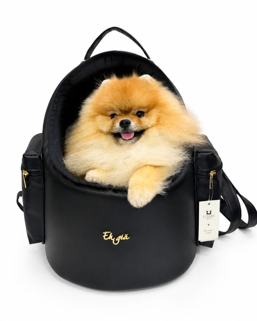 Mochila para perros Traveller Egg negra