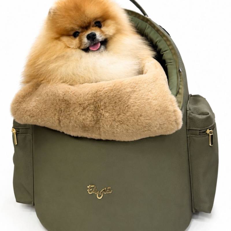 Mochila para perros Traveller Egg verde